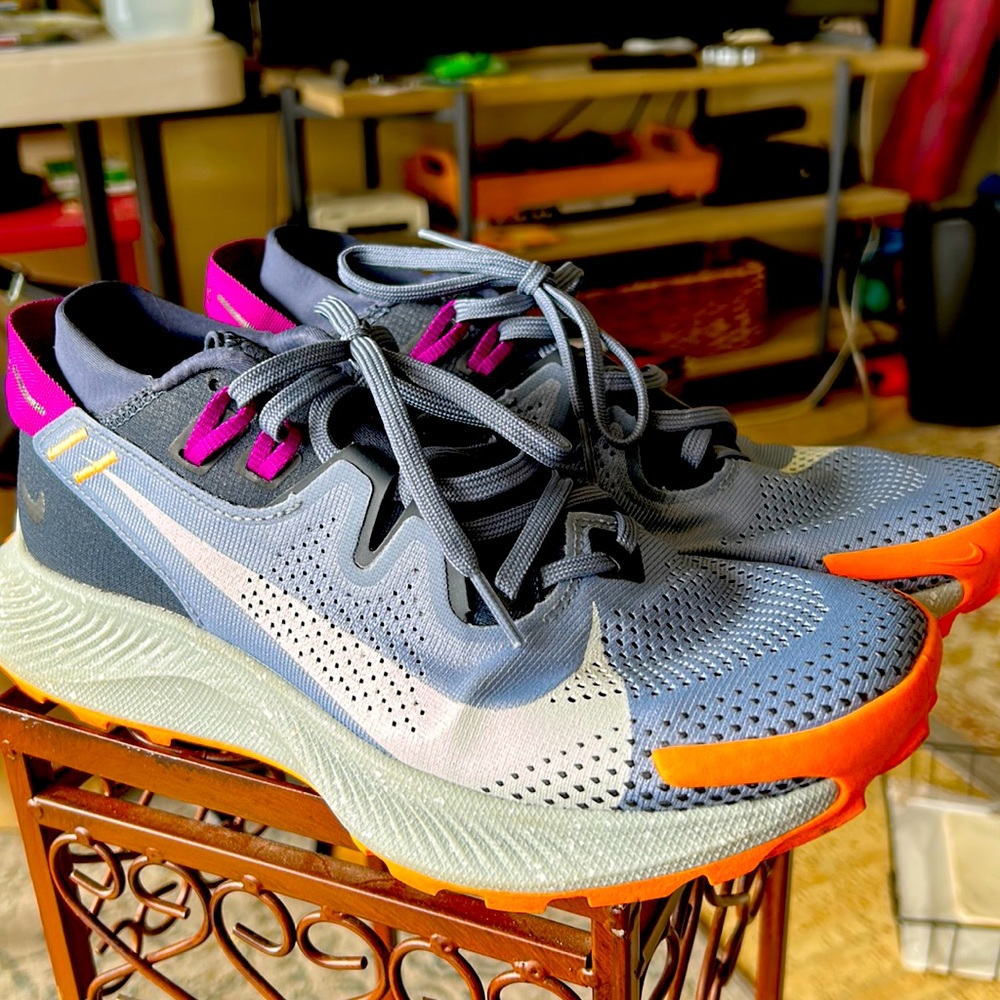 Nike Pegasus Trail 2